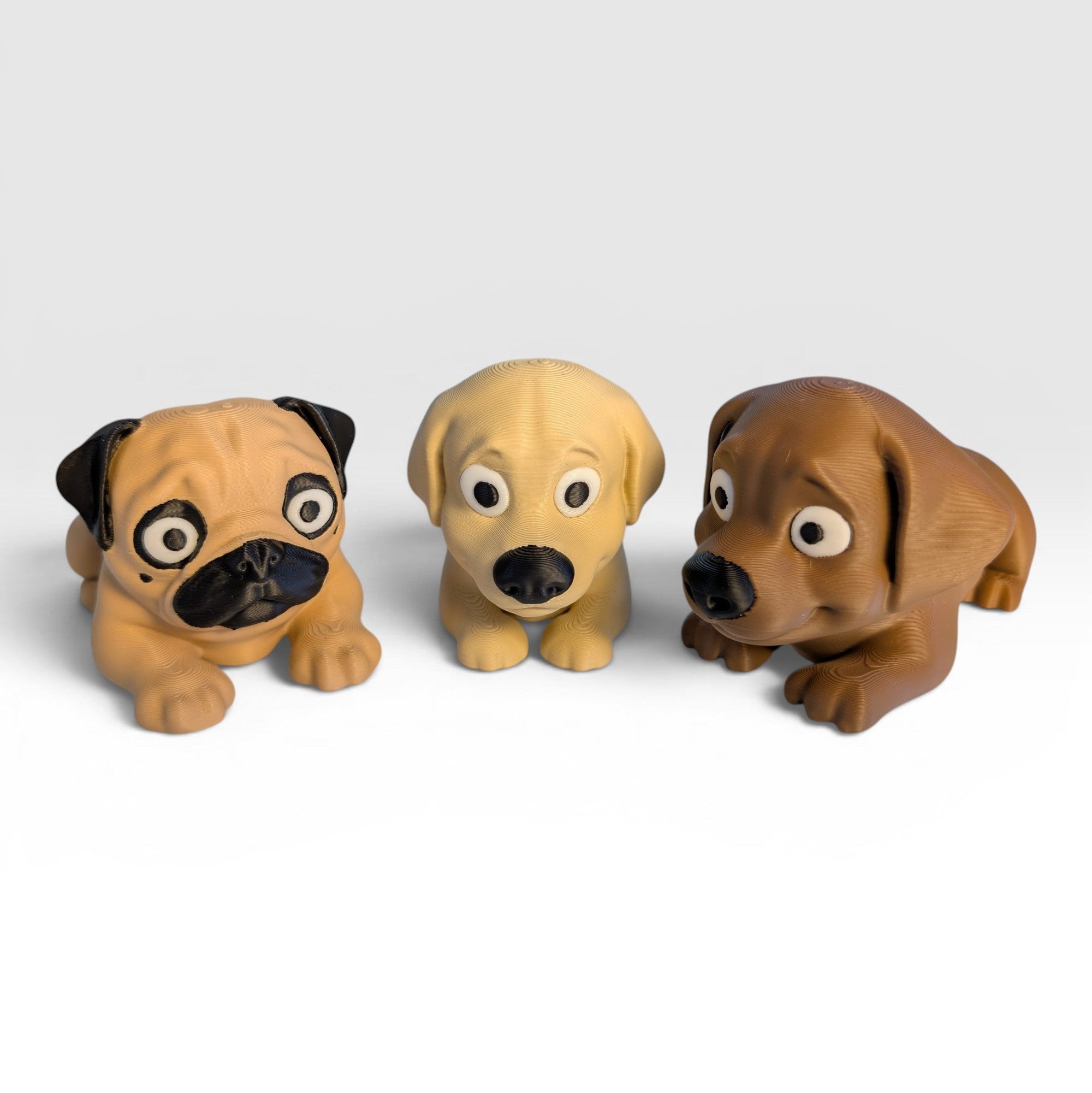 Pug (Brown), Golden Retriever, Labrador (Chocolate)
