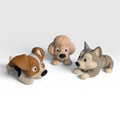 Jack Russell, Poodle, Husky