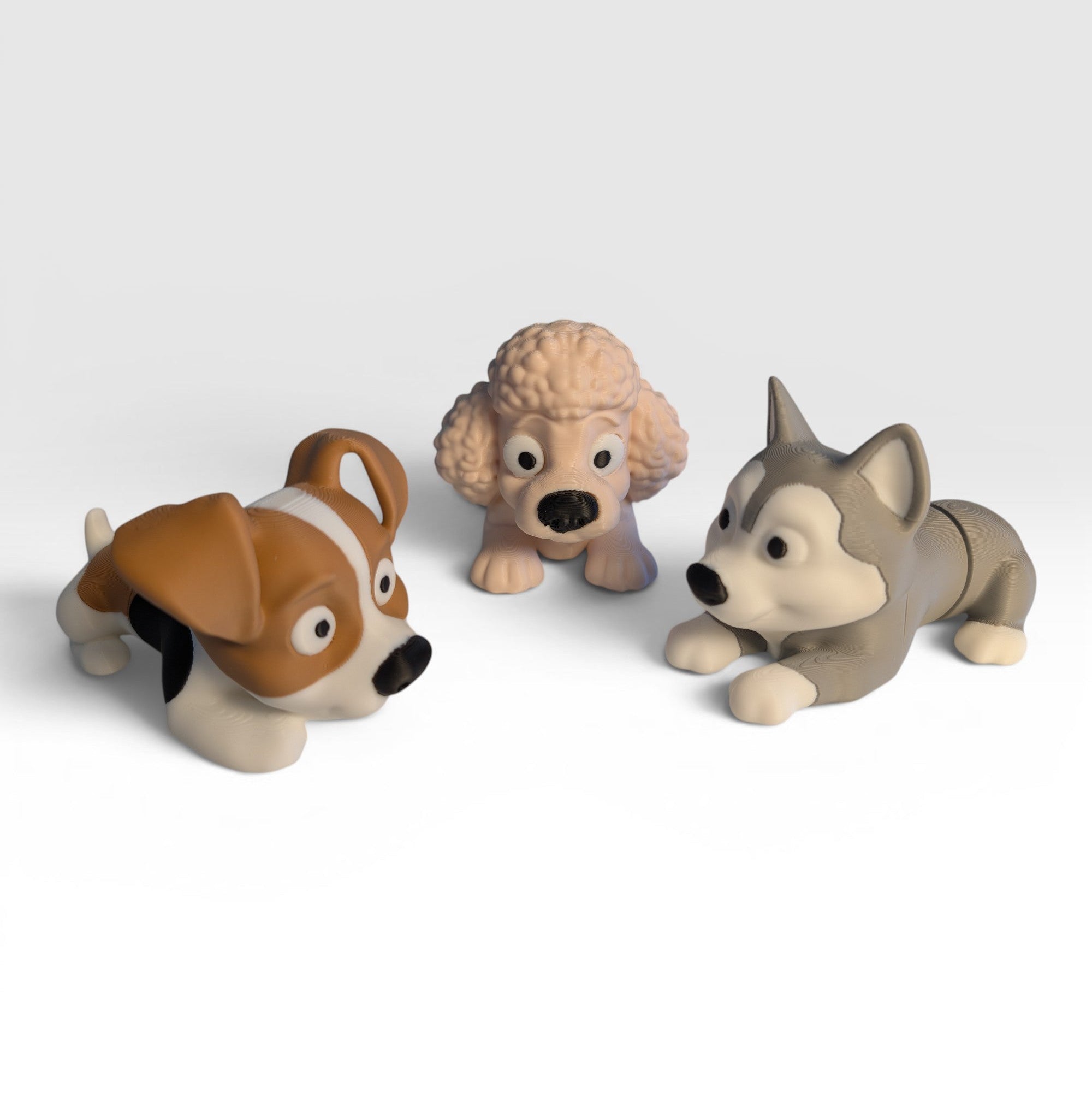 Jack Russell, Poodle, Husky